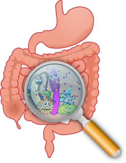 střevní mikrobiom